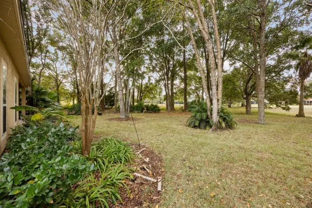 a backyard of a building with large trees and plants