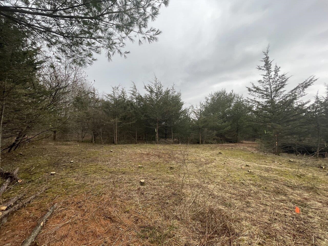 2532 Fuller Mountain Road Ferrisburgh, VT 05473 - Photo 15 of 16 Gallery Image 15