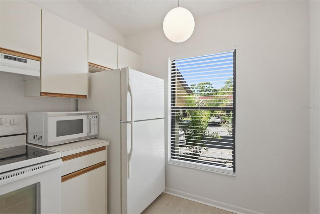 1311 Powderpuff Drive, Unit 1004 Dunedin, FL 34698 - Photo 12 of 24