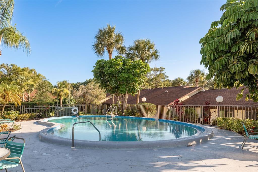 1311 Powderpuff Drive, Unit 1004 Dunedin, FL 34698 - Photo 23 of 24