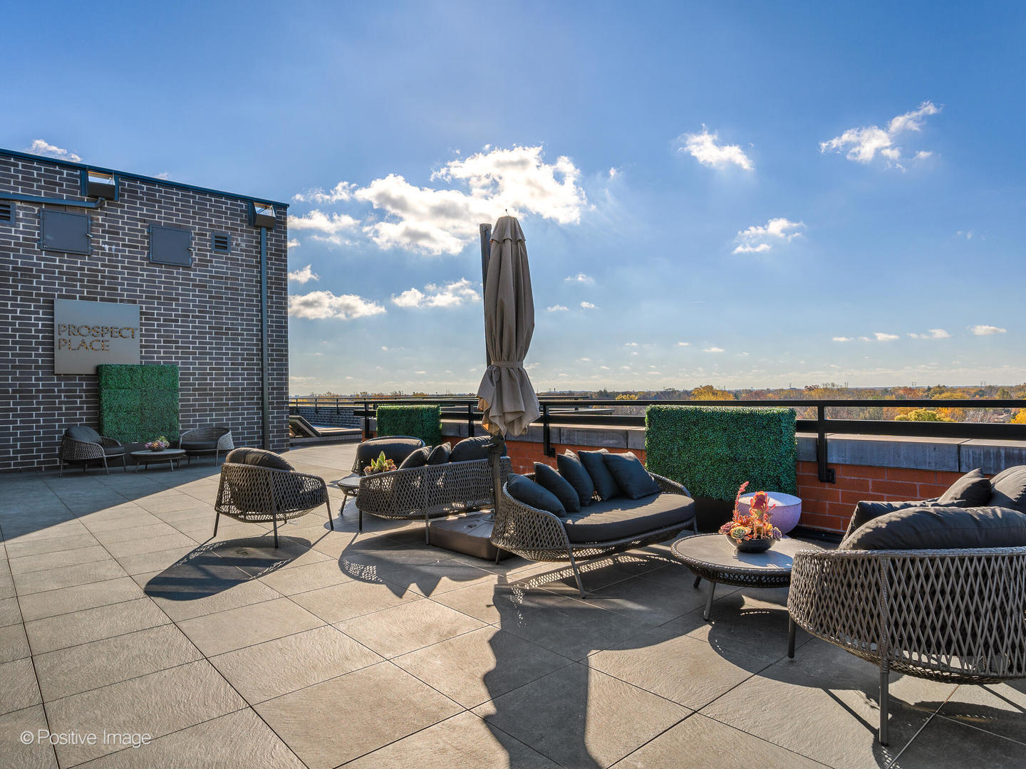 11 West Prospect Avenue, Unit 214 Mount Prospect, IL 60056 - Photo 19 of 32 a roof deck with couches and potted plants