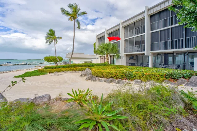 an outdoor space with lots of flower plants