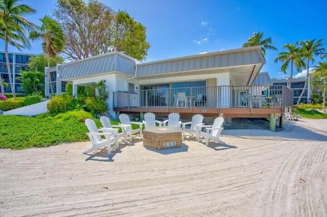 a palm plant sitting in front of a door with a palm tree