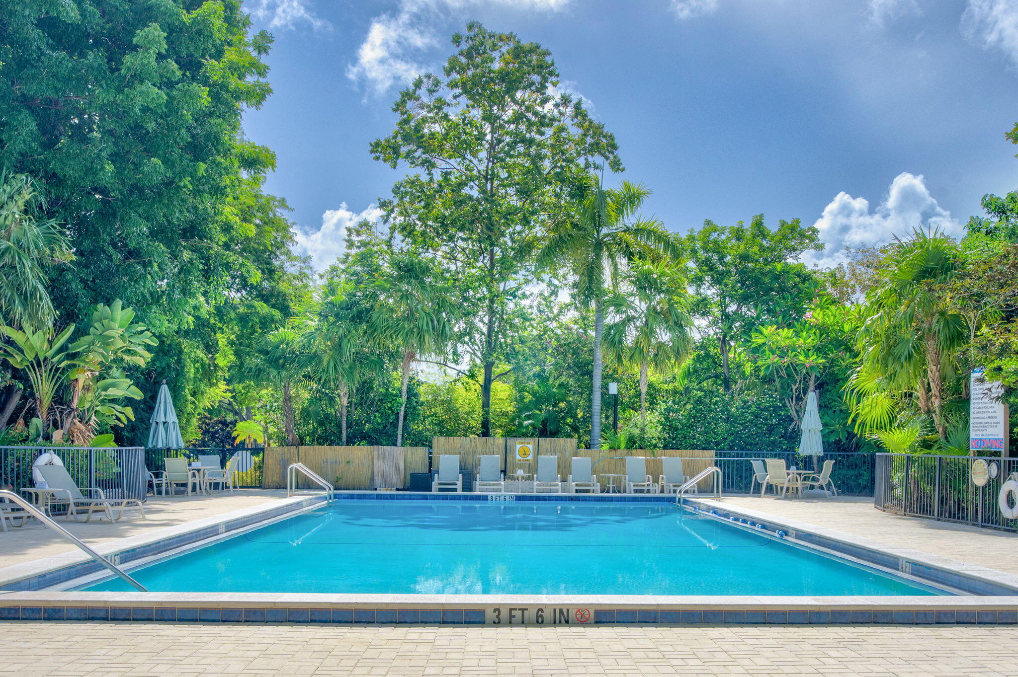 97652 Overseas Highway, Unit P6 Key Largo, FL 33037 - Photo 56 of 79 a view of a backyard with plants and large trees
