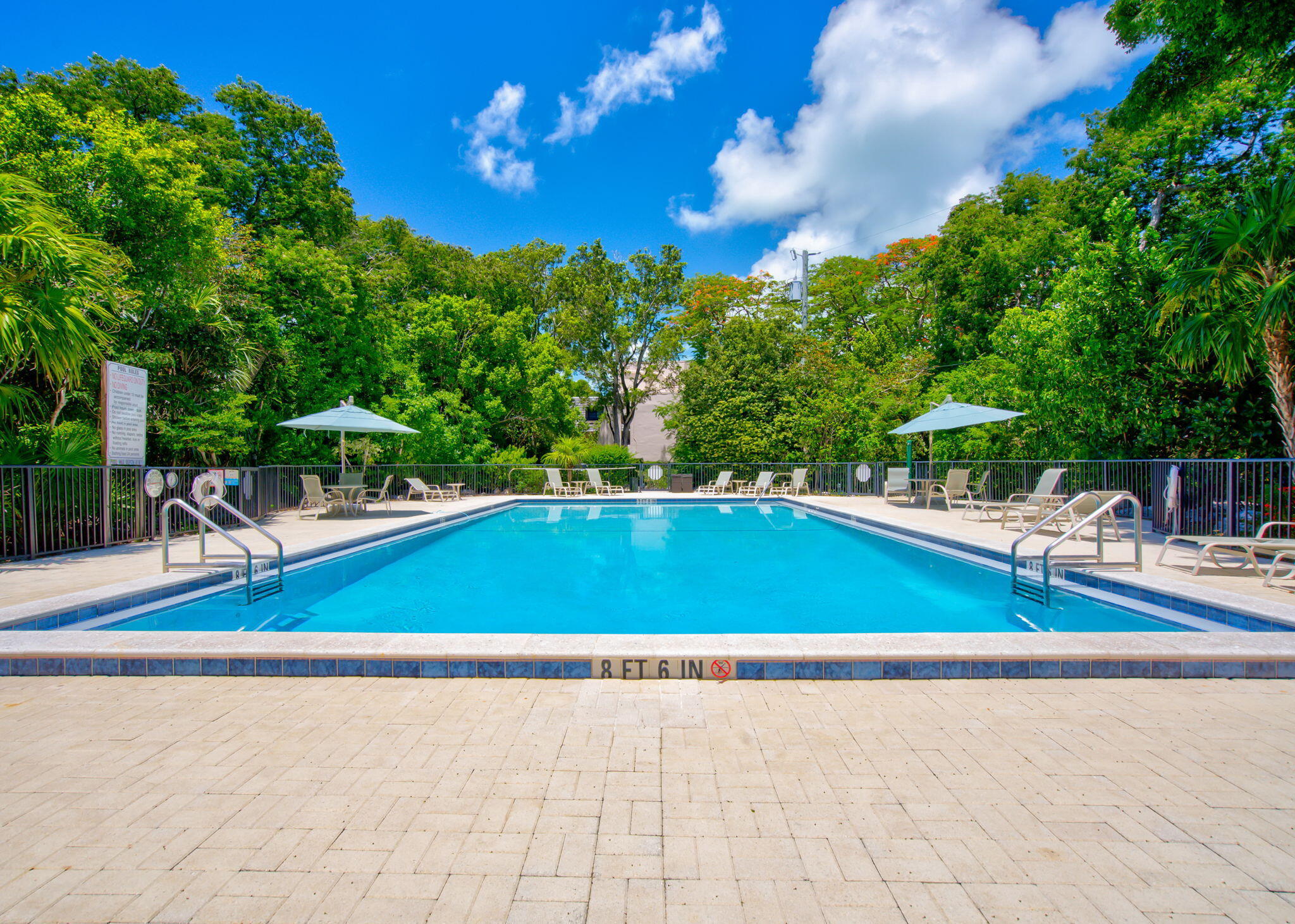 97652 Overseas Highway, Unit P6 Key Largo, FL 33037 - Photo 58 of 79 a view of a swimming pool with lawn chairs under an umbrella