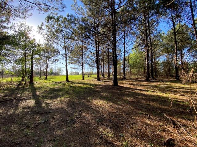 Tbd Ruth Holton Road Amite, LA 70422 - Photo 17 of 34
