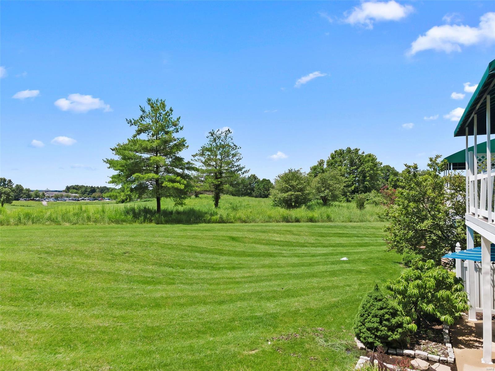 133 Wake Forest Place O'Fallon, MO 63368 - Photo 53 of 64