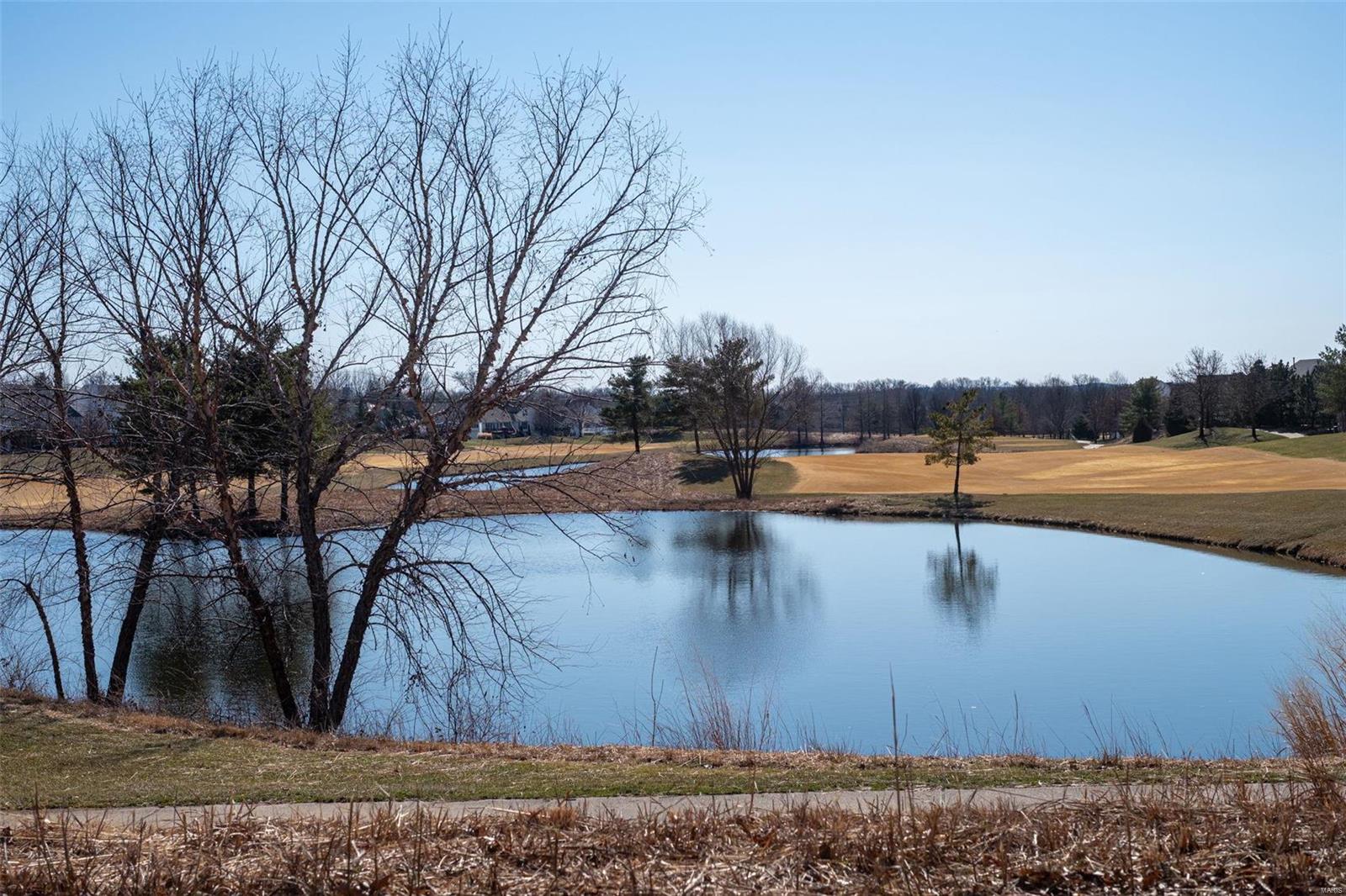 133 Wake Forest Place O'Fallon, MO 63368 - Photo 64 of 64