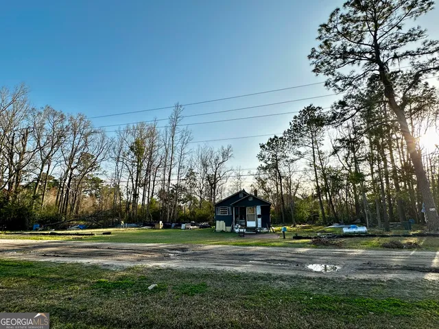 a view of a park with large trees