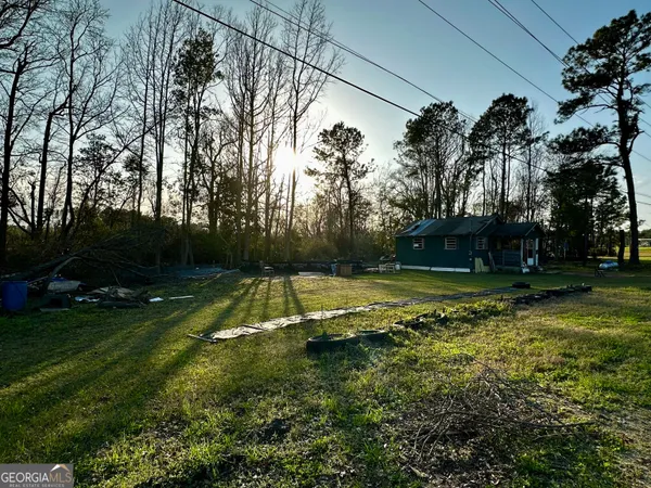 a view of a park with large trees