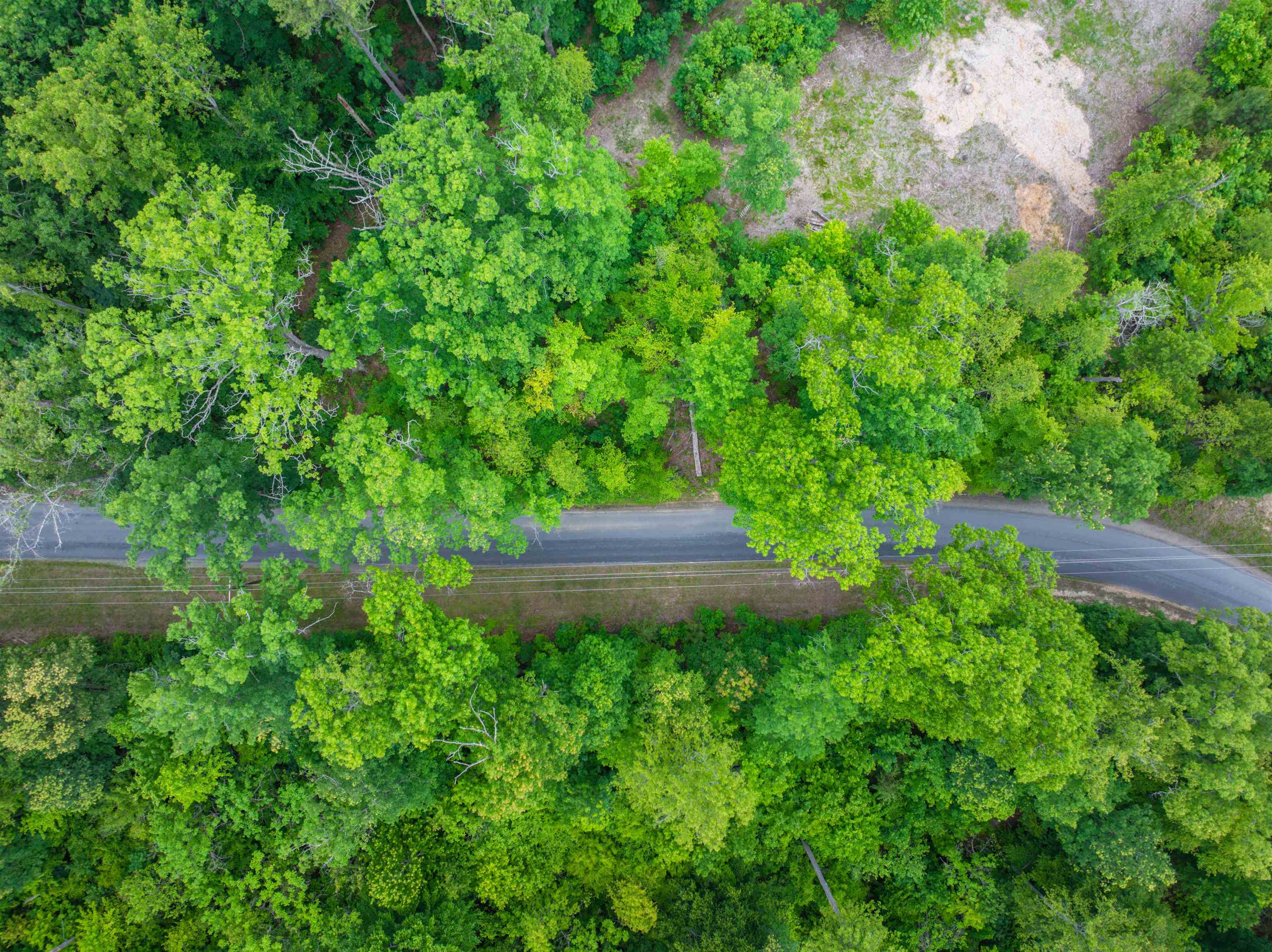 0 Gilbert Station Road Barboursville, VA 22923 - Photo 19 of 30