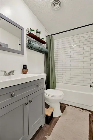 a bathroom with a sink a toilet and a shower curtain