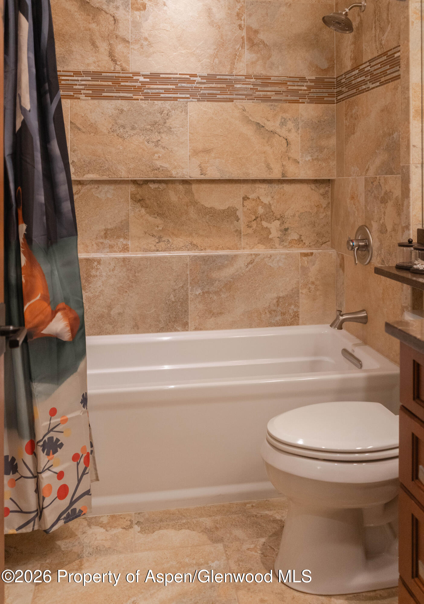 109 Valley Court Basalt, CO 81621 - Photo 33 of 41 a bathroom with a toilet and a shower