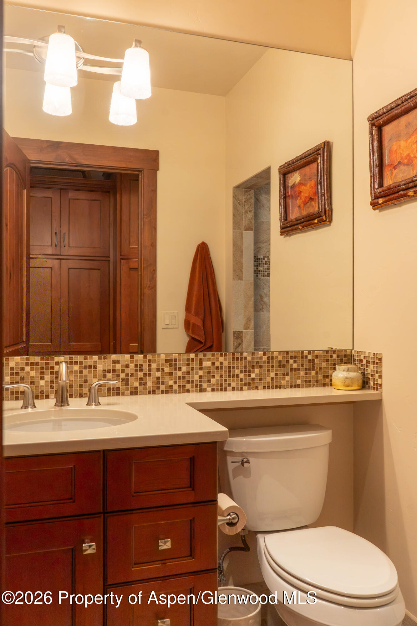 109 Valley Court Basalt, CO 81621 - Photo 39 of 41 a bathroom with a toilet sink and mirror
