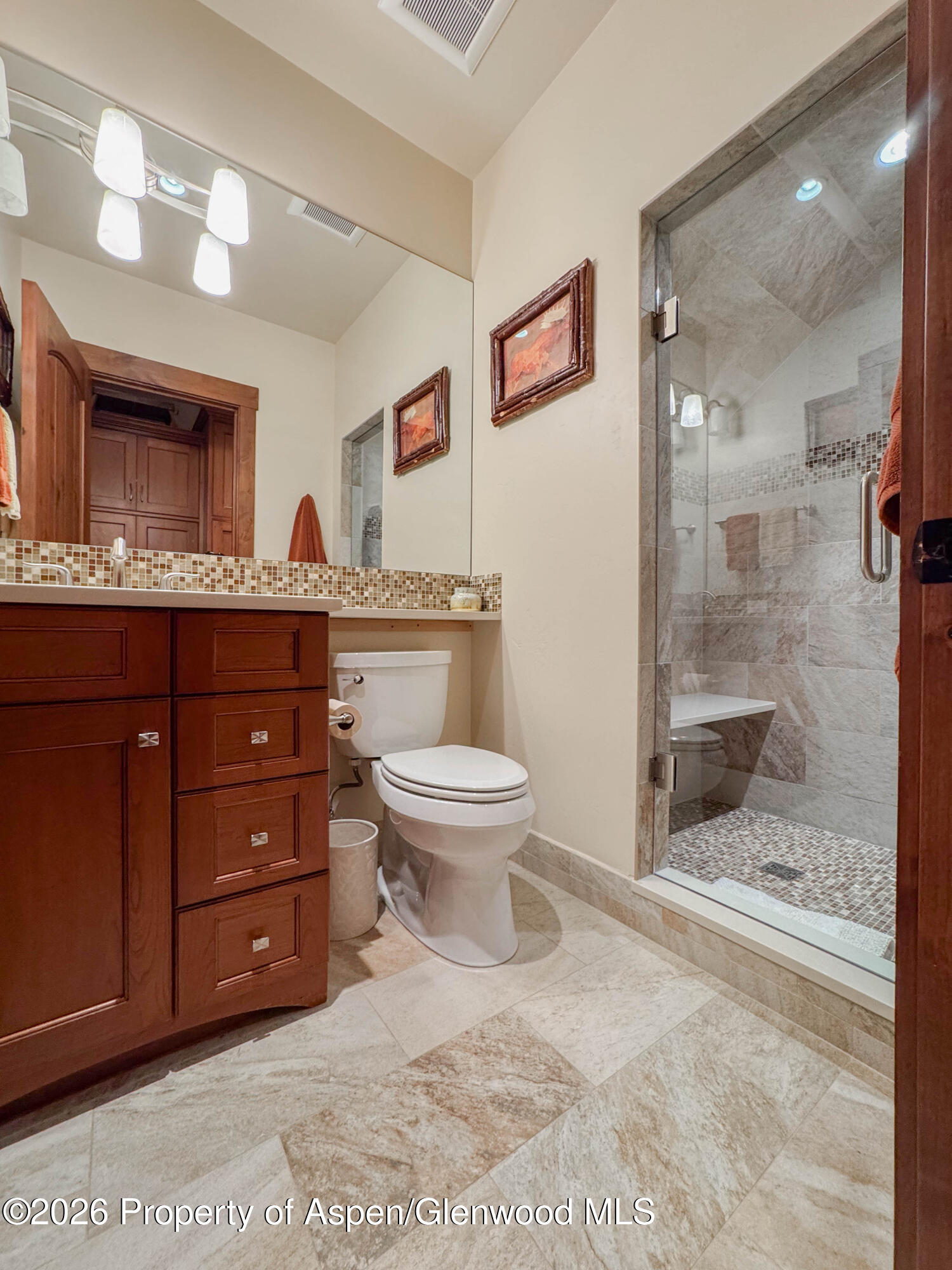 109 Valley Court Basalt, CO 81621 - Photo 40 of 41 a bathroom with a sink a toilet and shower