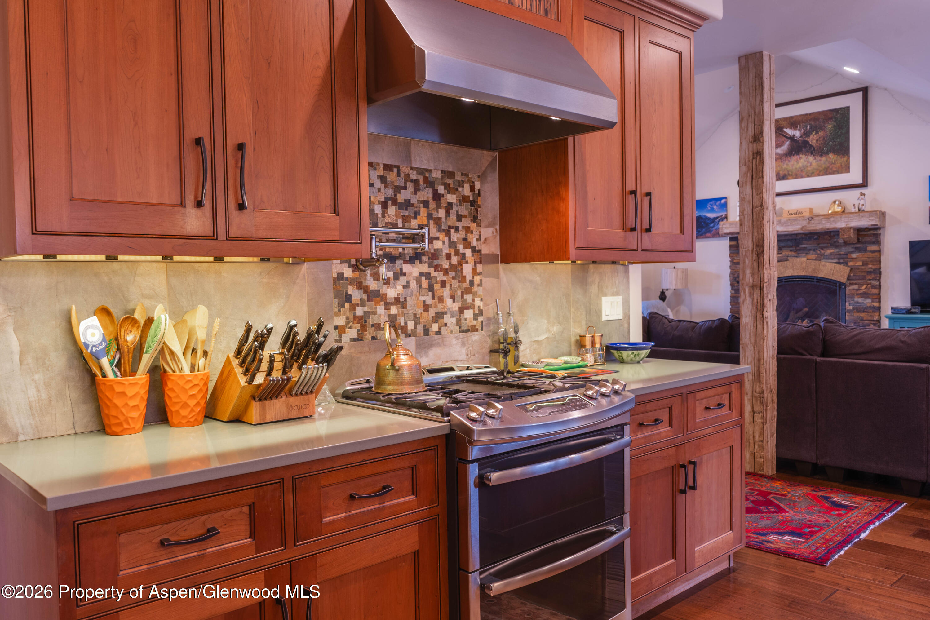 109 Valley Court Basalt, CO 81621 - Photo 8 of 41 a kitchen with stainless steel appliances granite countertop a stove a sink and a microwave
