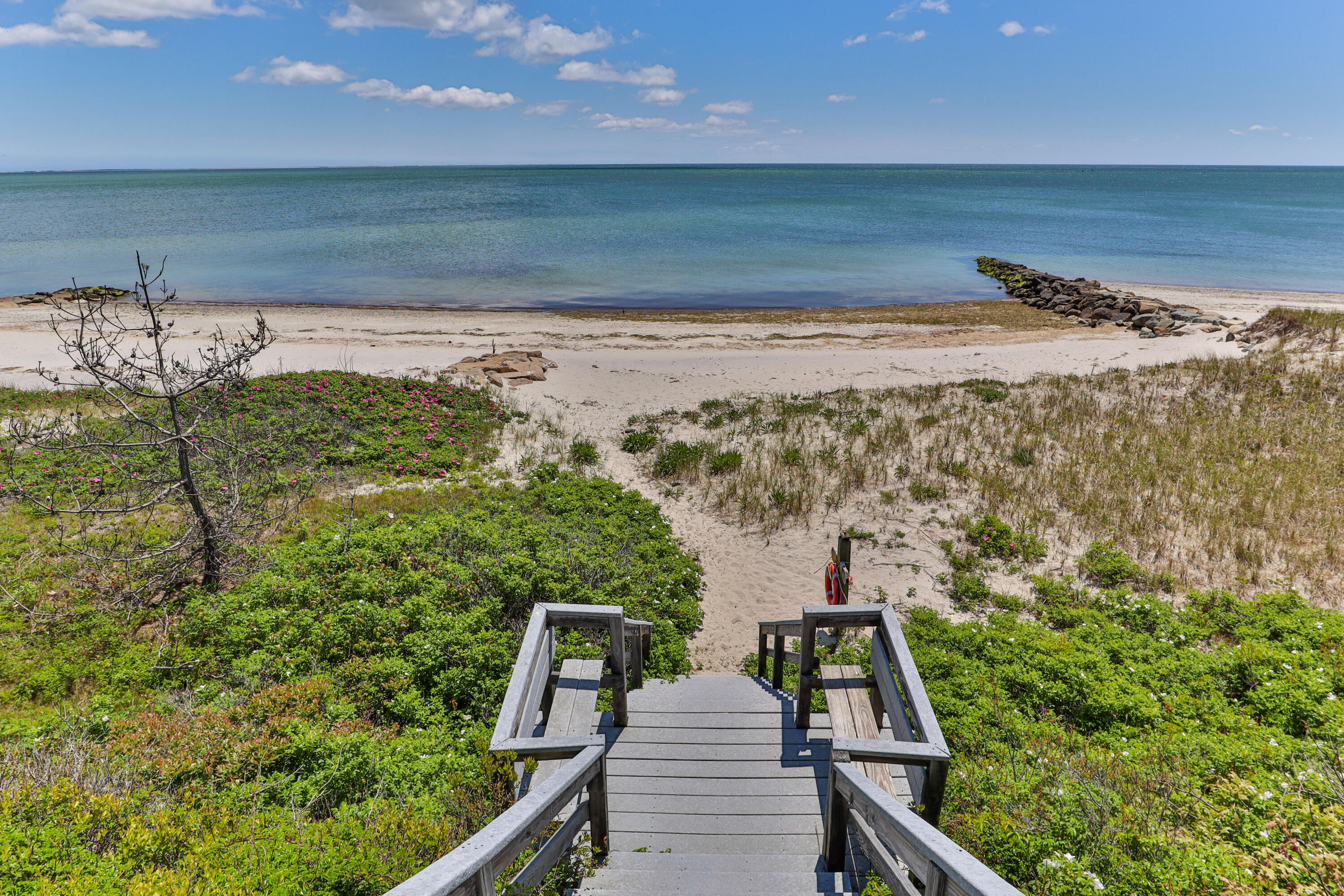 19 Mill Road Harwich Port, MA 02646 - Photo 52 of 56 19millLR-37