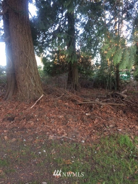 1 Lake Terrell Road Ferndale, WA 98248 - Photo 3 of 6