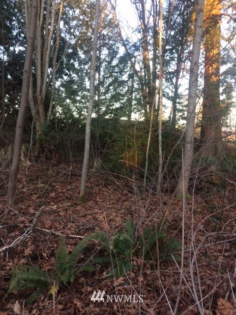 1 Lake Terrell Road Ferndale, WA 98248 - Photo 4 of 6