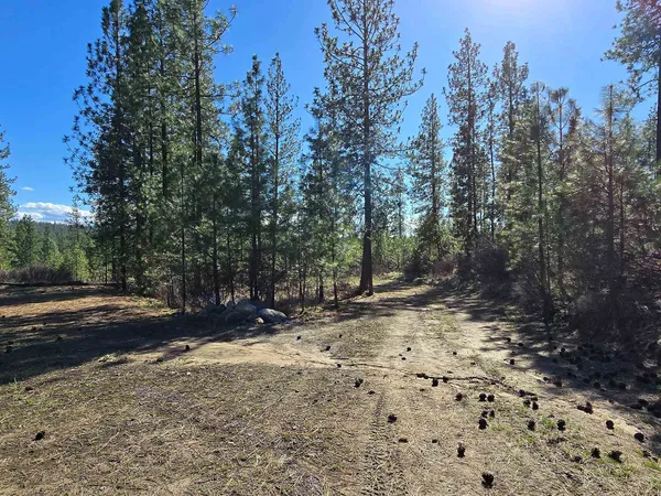 $69,950 | 62-xx Castle Rock Creek Road, Fruitland, WA 99129