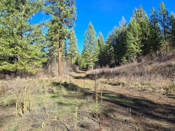 $69,950 | 62-xx Castle Rock Creek Road, Fruitland, WA 99129