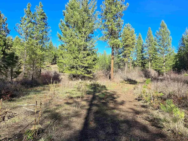$69,950 | 62-xx Castle Rock Creek Road, Fruitland, WA 99129