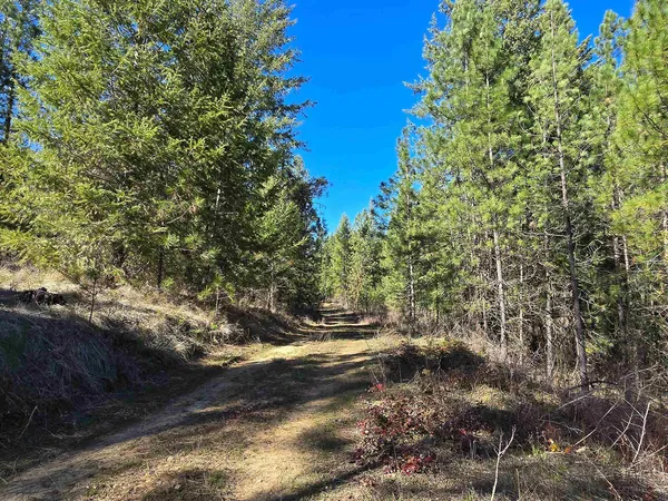 $69,950 | 62-xx Castle Rock Creek Road, Fruitland, WA 99129