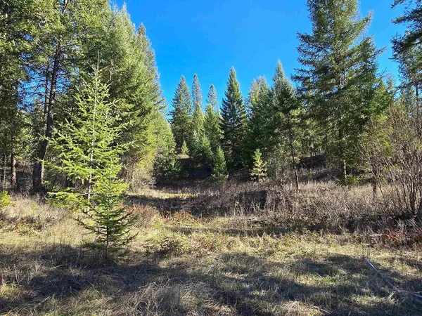 $69,950 | 62-xx Castle Rock Creek Road, Fruitland, WA 99129