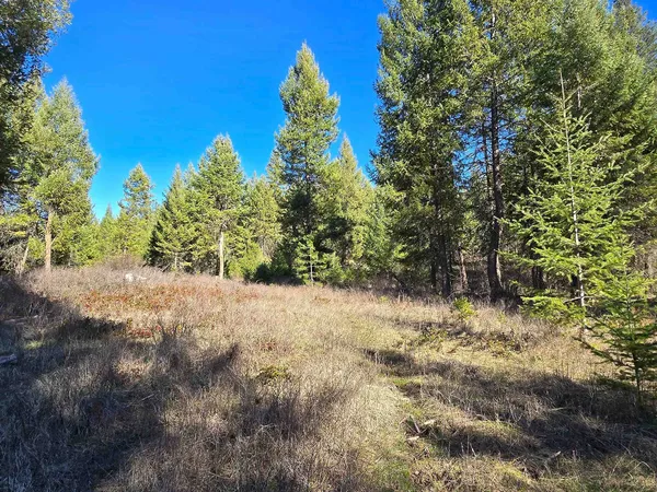 $69,950 | 62-xx Castle Rock Creek Road, Fruitland, WA 99129