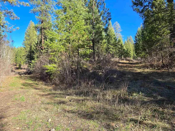 $69,950 | 62-xx Castle Rock Creek Road, Fruitland, WA 99129