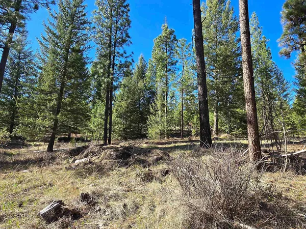 $69,950 | 62-xx Castle Rock Creek Road, Fruitland, WA 99129