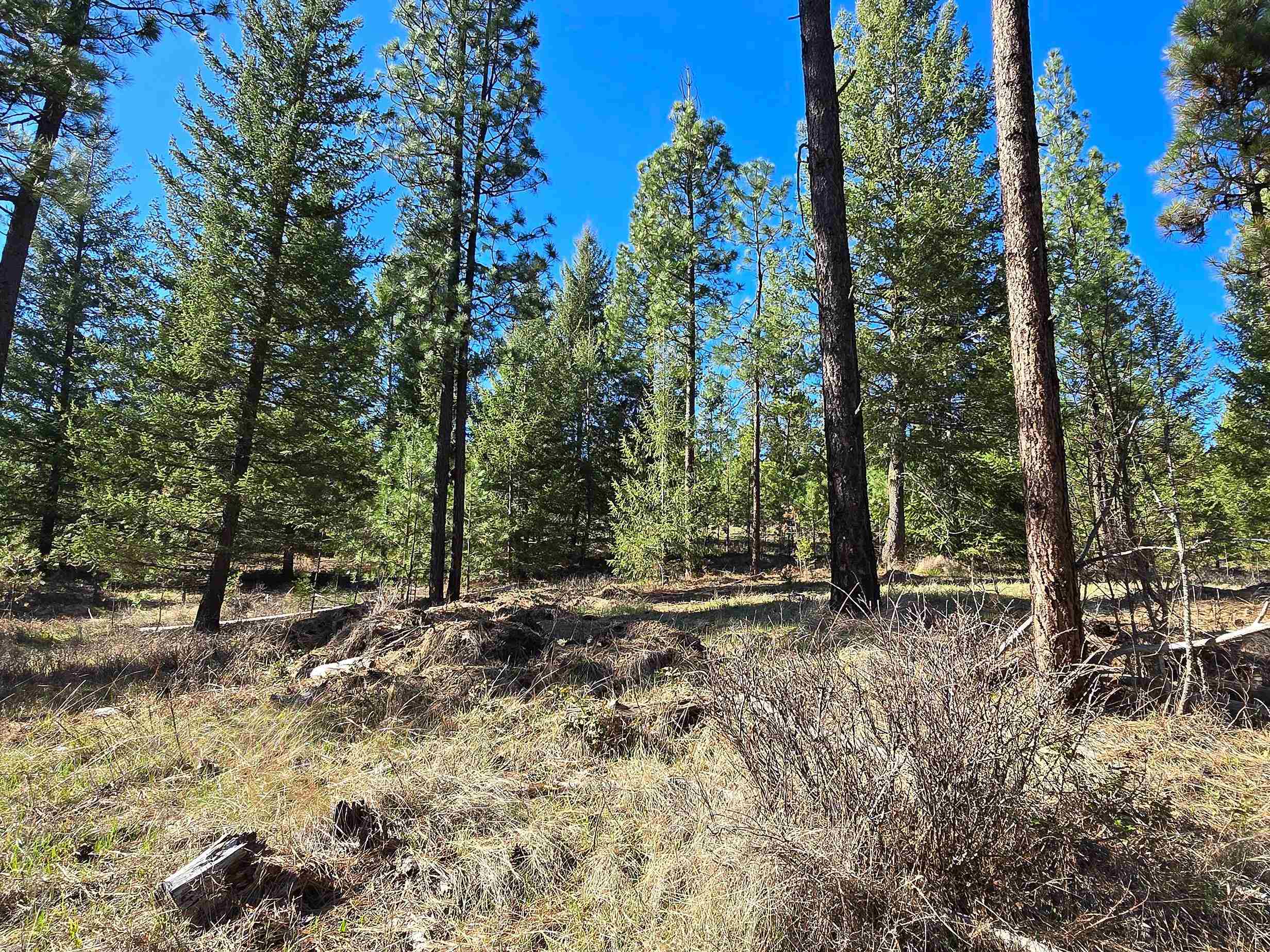 62-xx Castle Rock Creek Road Fruitland, WA 99129 - Photo 17 of 19