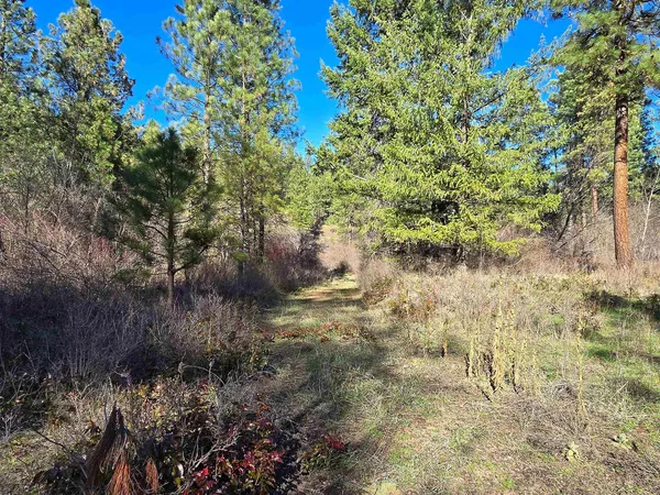 $69,950 | 62-xx Castle Rock Creek Road, Fruitland, WA 99129