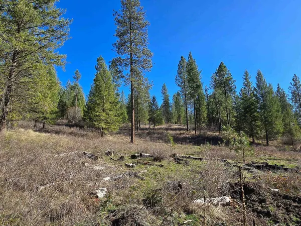 $69,950 | 62-xx Castle Rock Creek Road, Fruitland, WA 99129