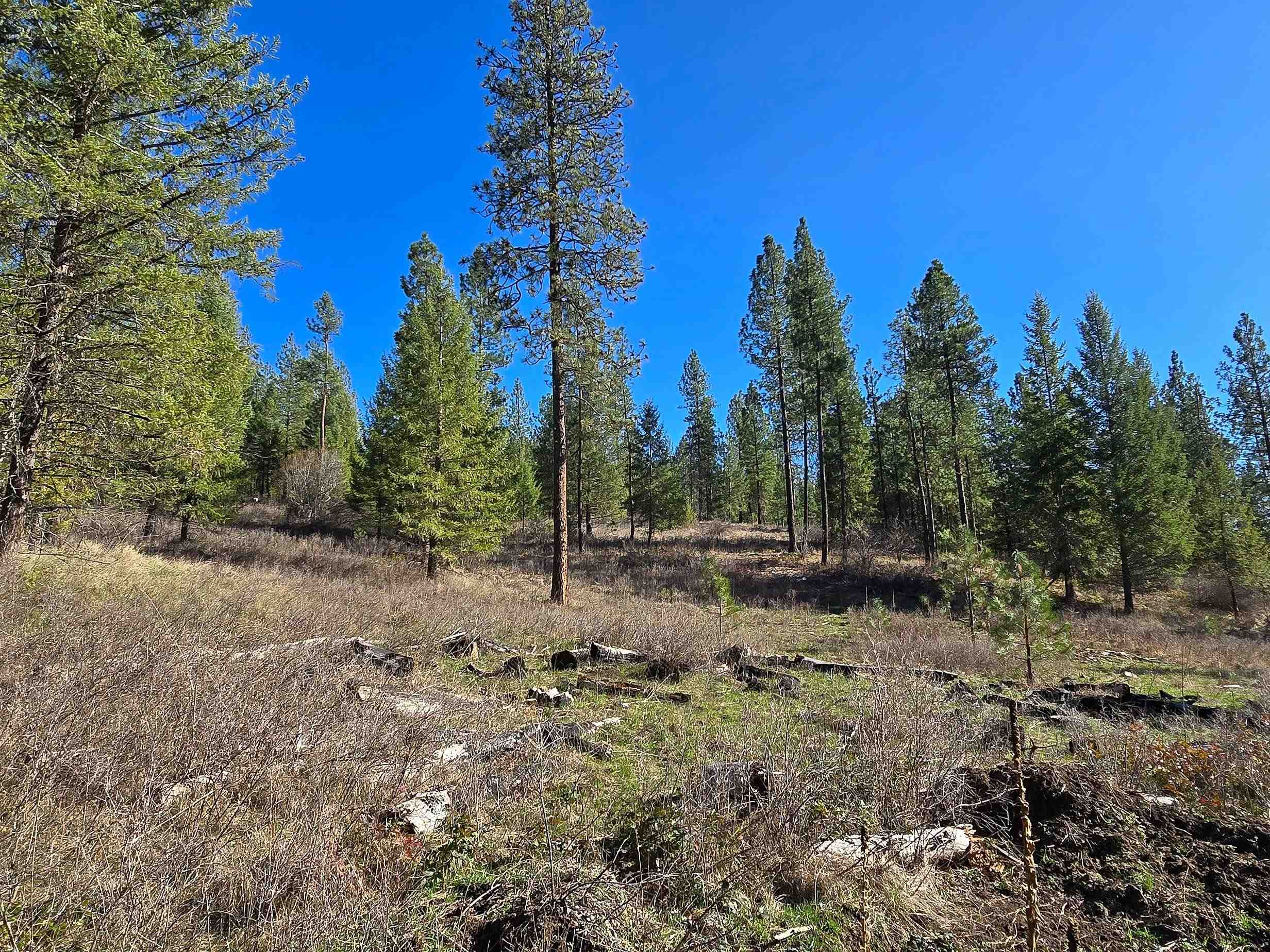 62-xx Castle Rock Creek Road Fruitland, WA 99129 - Photo 2 of 19