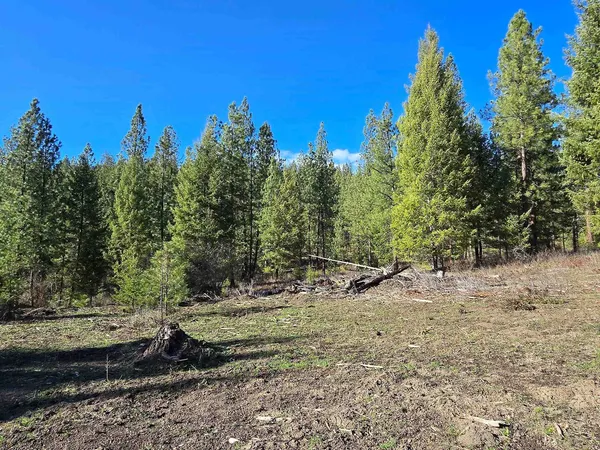 $69,950 | 62-xx Castle Rock Creek Road, Fruitland, WA 99129