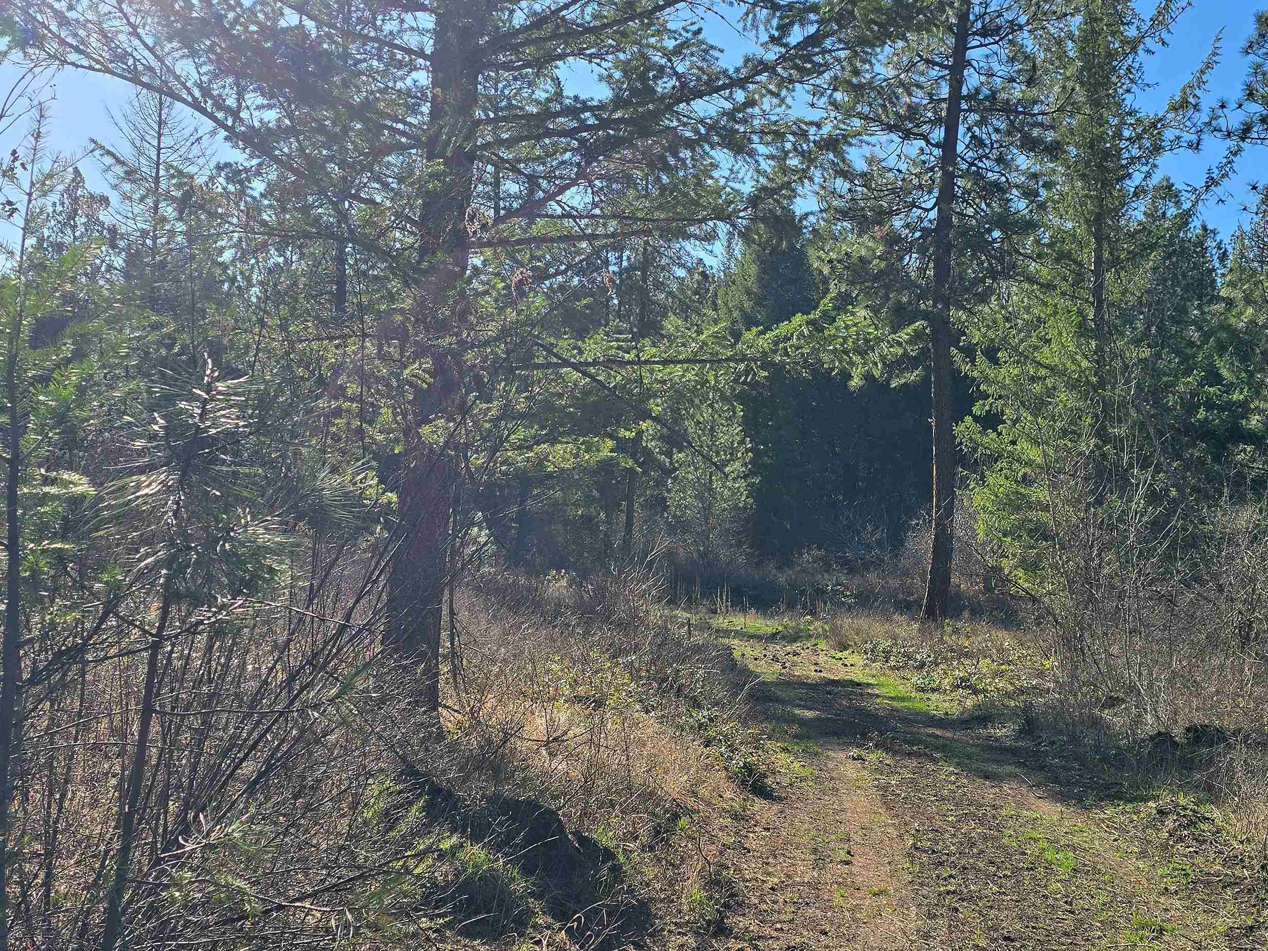 62-xx Castle Rock Creek Road Fruitland, WA 99129 - Photo 4 of 19