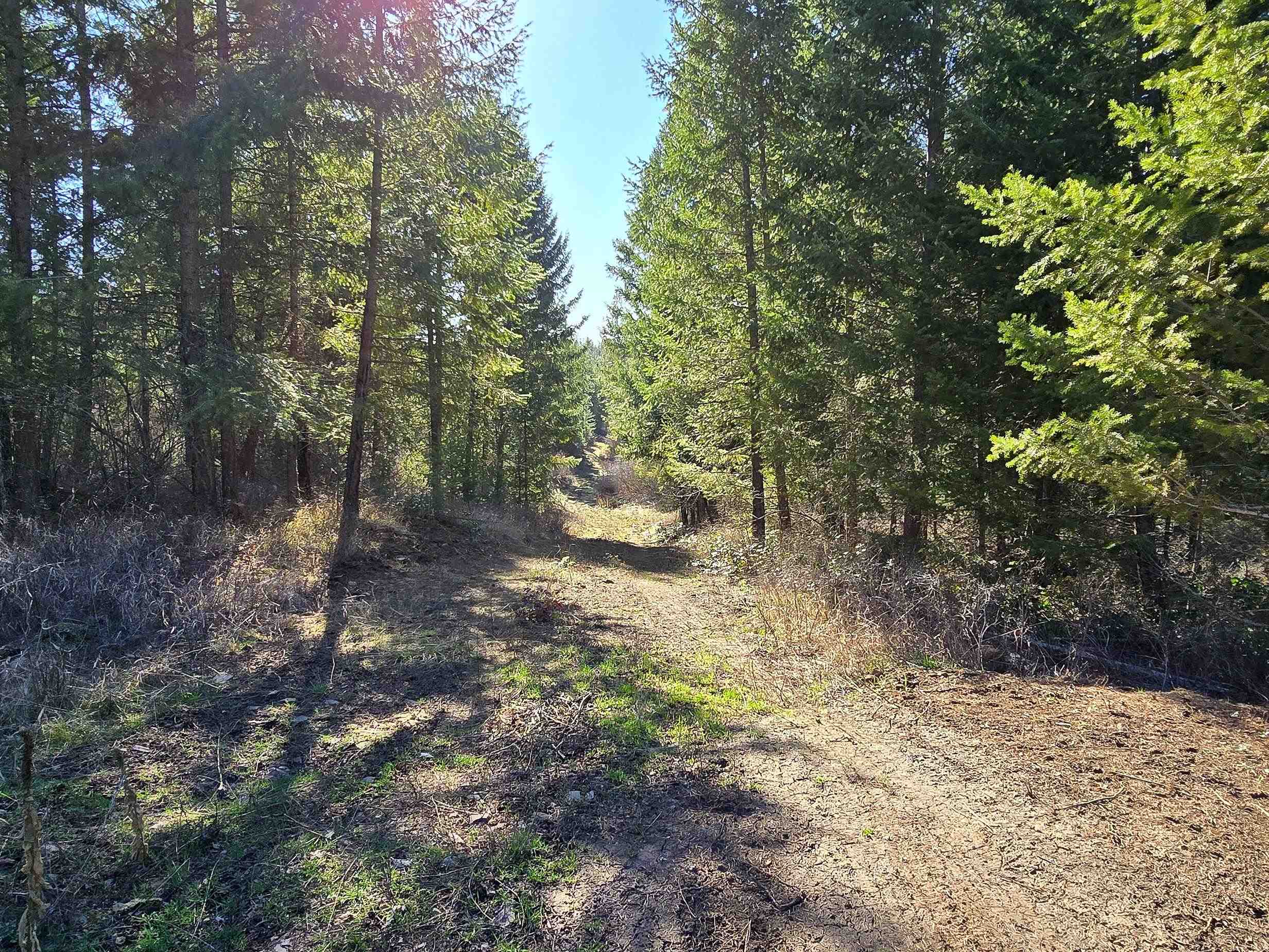 62-xx Castle Rock Creek Road Fruitland, WA 99129 - Photo 5 of 19