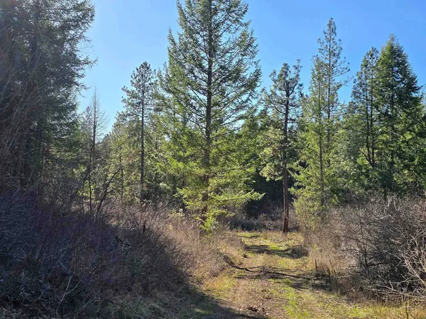 $69,950 | 62-xx Castle Rock Creek Road, Fruitland, WA 99129