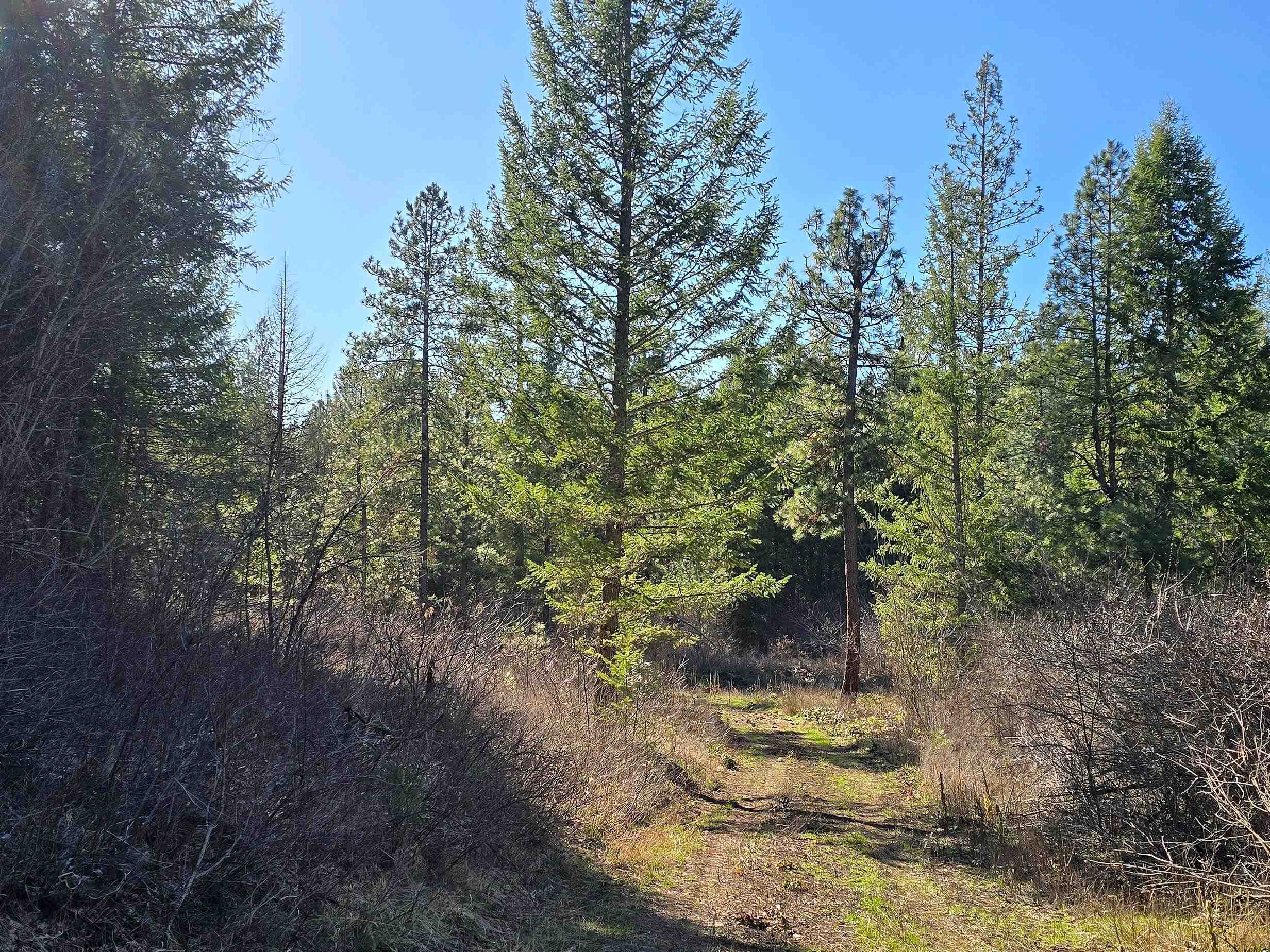 62-xx Castle Rock Creek Road Fruitland, WA 99129 - Photo 6 of 19