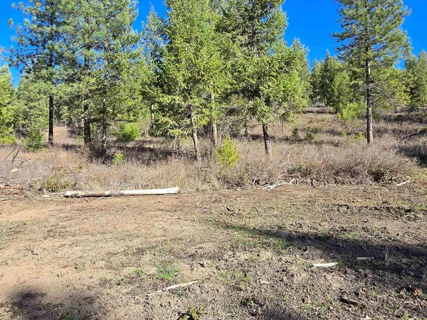 $69,950 | 62-xx Castle Rock Creek Road, Fruitland, WA 99129