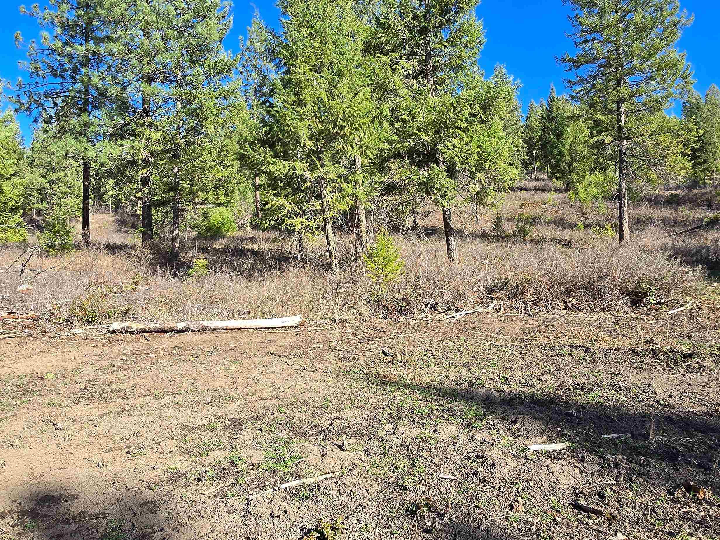 62-xx Castle Rock Creek Road Fruitland, WA 99129 - Photo 7 of 19