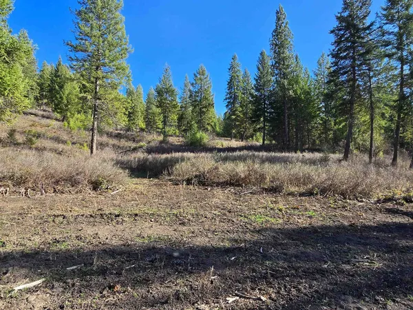 $69,950 | 62-xx Castle Rock Creek Road, Fruitland, WA 99129