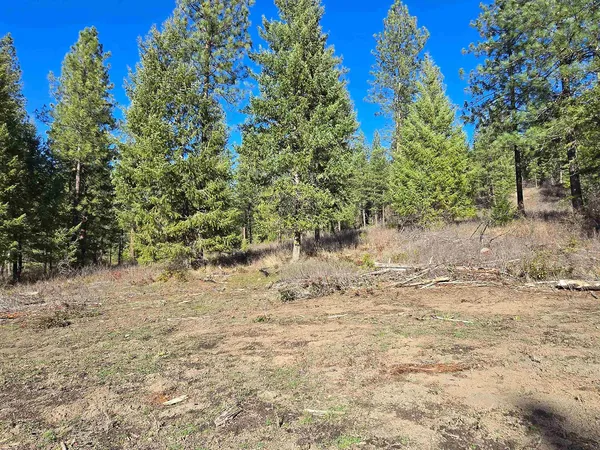 $69,950 | 62-xx Castle Rock Creek Road, Fruitland, WA 99129