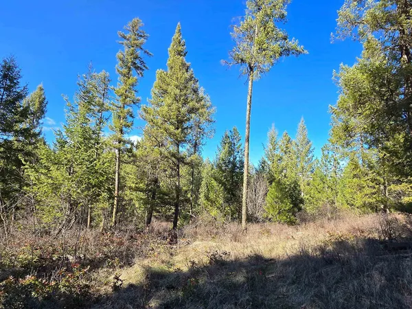 $69,950 | 62-xx Castle Rock Creek Road, Fruitland, WA 99129