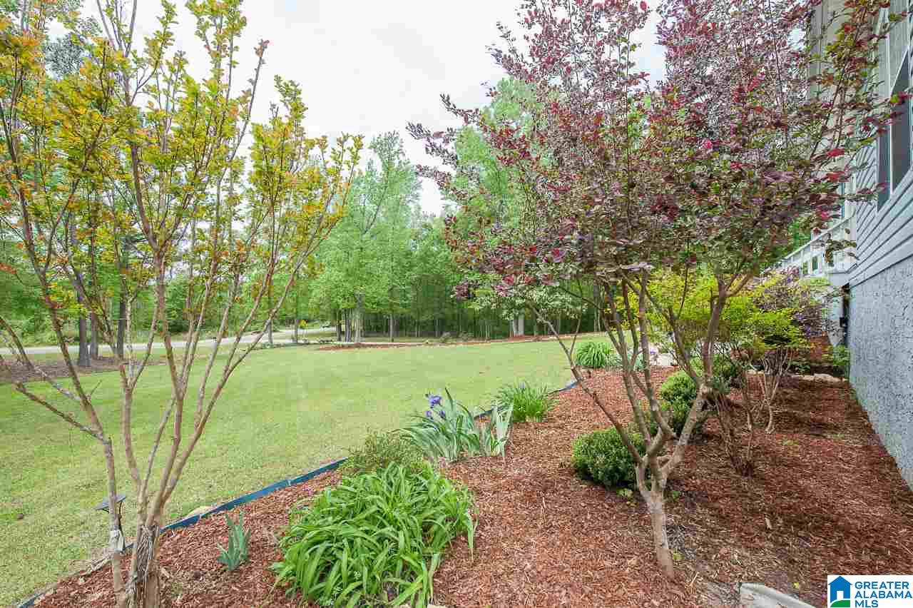 890 Easonville Road Cropwell, AL 35054 - Photo 6 of 49