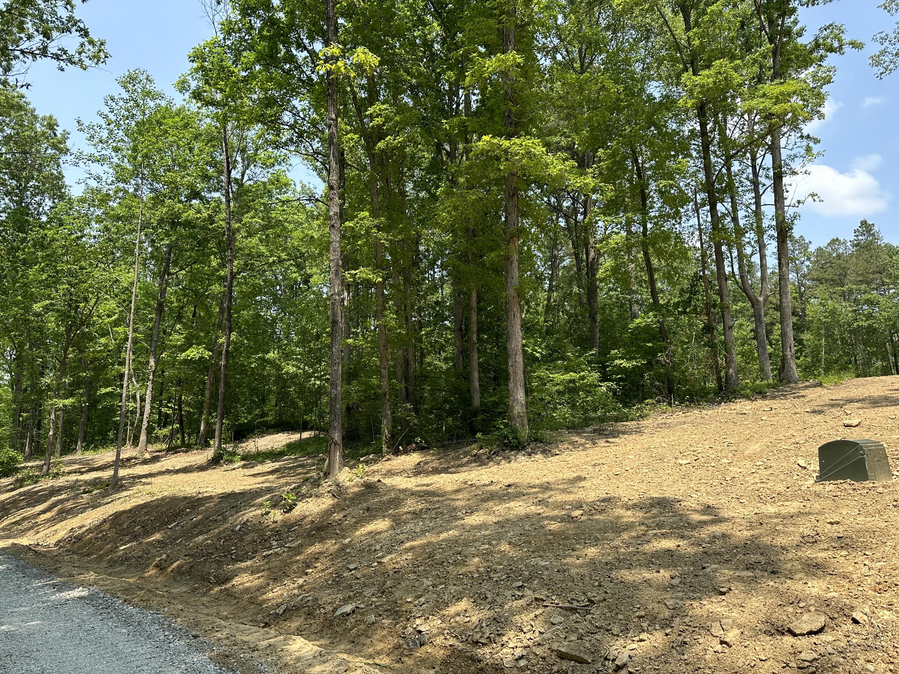 1 Big Sky Road Corbin, KY 40701 - Photo 10 of 12 IMG_5791
