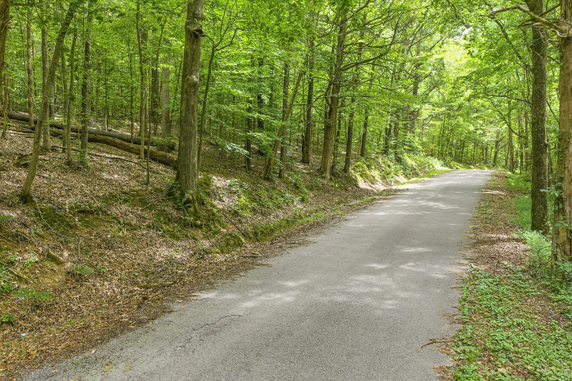 0 Utley Road Camden, TN 38320 - Photo 23 of 31 Gallery Image 23