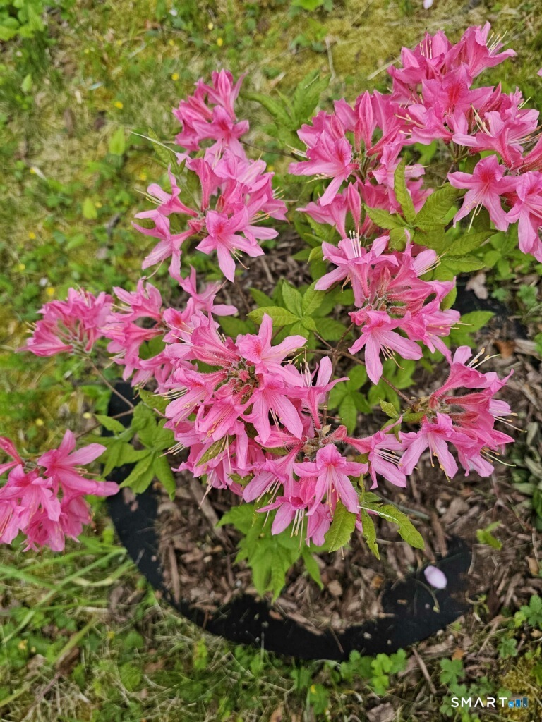 455 Chesterfield Road Montville, CT 06370 - Photo 38 of 40