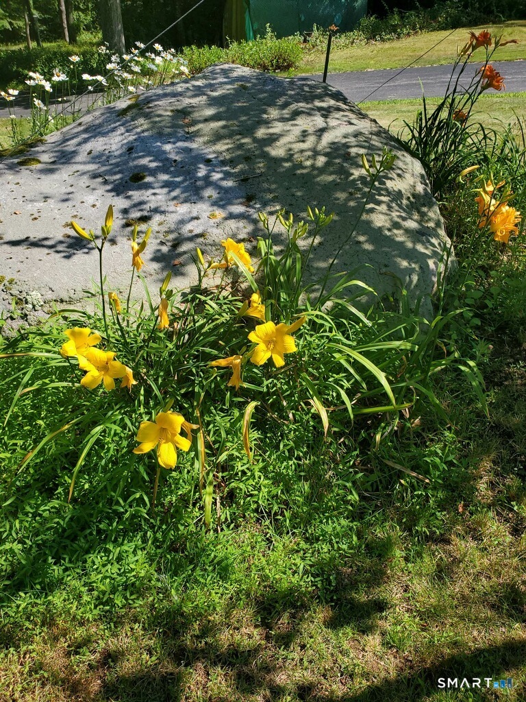 455 Chesterfield Road Montville, CT 06370 - Photo 39 of 40